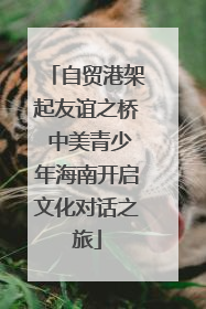 自贸港架起友谊之桥 中美青少年海南开启文化对话之旅
