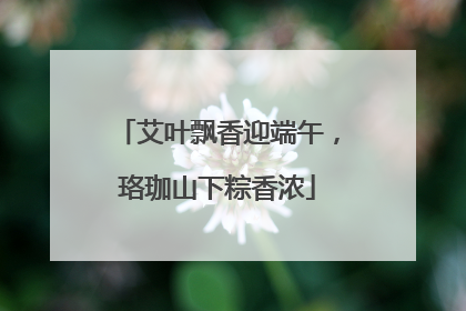 艾叶飘香迎端午，珞珈山下粽香浓