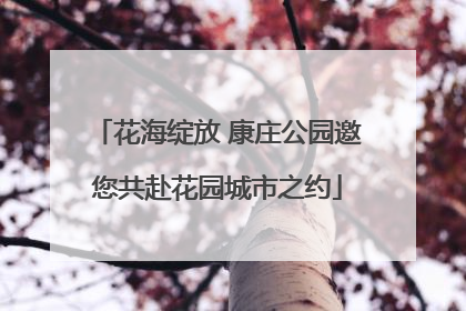 花海绽放 康庄公园邀您共赴花园城市之约