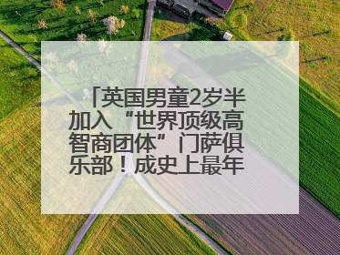 英国男童2岁半加入“世界顶级高智商团体”门萨俱乐部！成史上最年轻男性会员