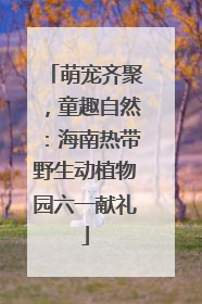 萌宠齐聚，童趣自然：海南热带野生动植物园六一献礼