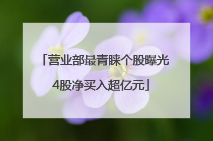 营业部最青睐个股曝光 4股净买入超亿元