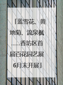 蓝雪花、黄地菊、流泉枫……香坊区首届百花园艺展6月末开展