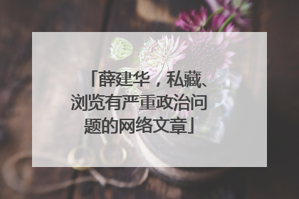 薛建华，私藏、浏览有严重政治问题的网络文章