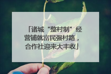 诸城“整村制”经营铺就富民强村路，合作社迎来大丰收