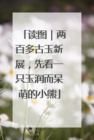 读图｜两百多古玉新展，先看一只玉润而呆萌的小熊