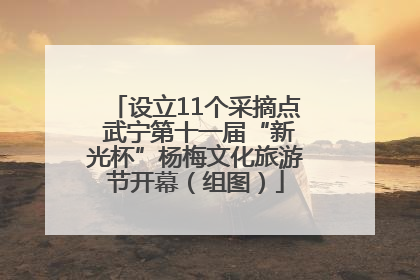 设立11个采摘点 武宁第十一届“新光杯”杨梅文化旅游节开幕（组图）