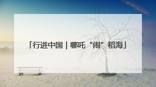 行进中国｜哪吒“闹”稻海