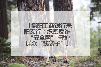 衡阳工商银行耒阳支行：织密反诈“安全网” 守护群众“钱袋子”