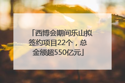 西博会期间乐山拟签约项目22个，总金额超550亿元