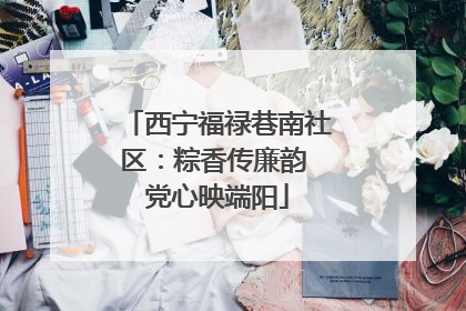 西宁福禄巷南社区：粽香传廉韵 党心映端阳