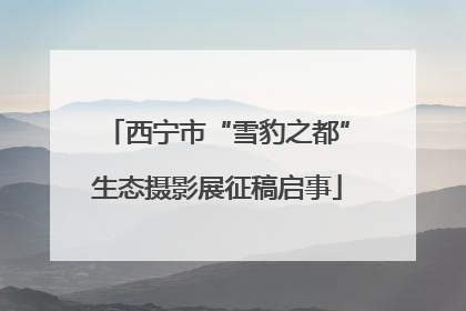 西宁市“雪豹之都”生态摄影展征稿启事