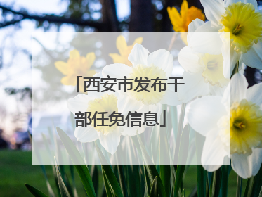 西安市发布干部任免信息