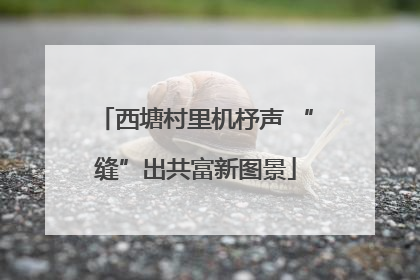 西塘村里机杼声 “缝”出共富新图景