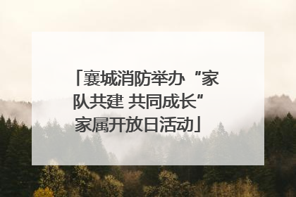 襄城消防举办“家队共建 共同成长”家属开放日活动