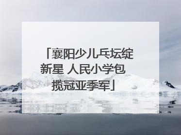 襄阳少儿乓坛绽新星 人民小学包揽冠亚季军