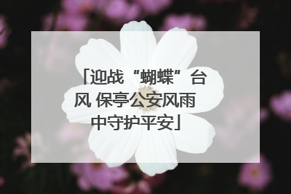 迎战“蝴蝶”台风 保亭公安风雨中守护平安
