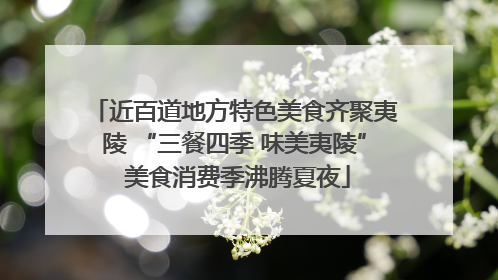 近百道地方特色美食齐聚夷陵 “三餐四季 味美夷陵” 美食消费季沸腾夏夜