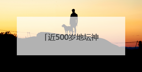 近500岁地坛神马圈开放，网红“地坛的海”邀您尝