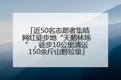 近50名志愿者集结网红徒步地“天鹅林场”，徒步10公里清运150余斤山野垃圾