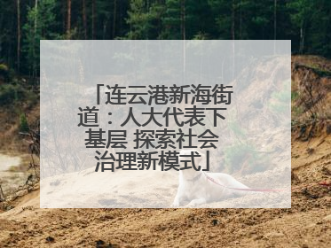 连云港新海街道：人大代表下基层 探索社会治理新模式