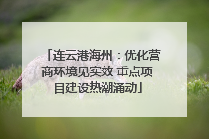 连云港海州：优化营商环境见实效 重点项目建设热潮涌动