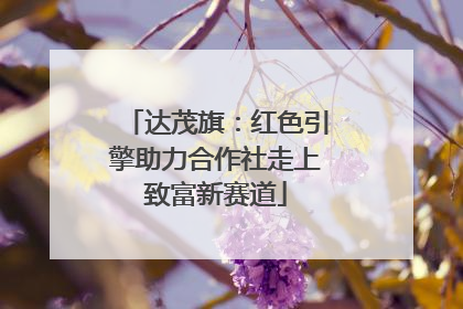 达茂旗：红色引擎助力合作社走上致富新赛道