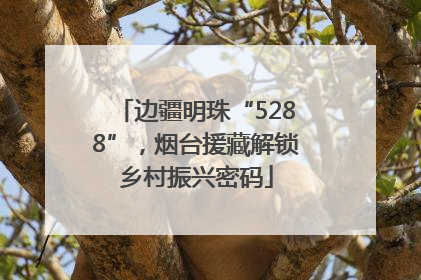 边疆明珠“5288”，烟台援藏解锁乡村振兴密码