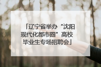 辽宁省举办“沈阳现代化都市圈”高校毕业生专场招聘会
