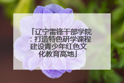 辽宁雷锋干部学院：打造特色研学课程 建设青少年红色文化教育高地