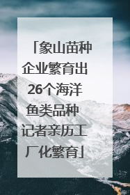 象山苗种企业繁育出26个海洋鱼类品种 记者亲历工厂化繁育
