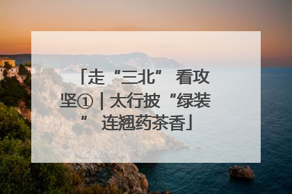 走“三北” 看攻坚①｜太行披“绿装” 连翘药茶香