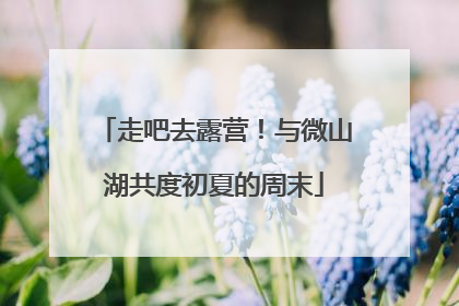 走吧去露营！与微山湖共度初夏的周末