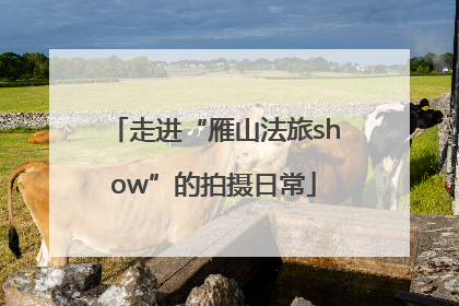 走进“雁山法旅show”的拍摄日常