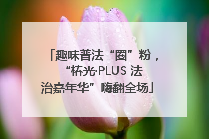 趣味普法“圈”粉，“椿光·PLUS 法治嘉年华”嗨翻全场