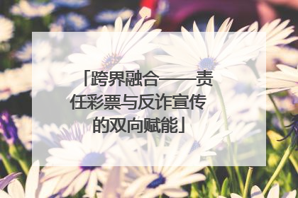 跨界融合——责任彩票与反诈宣传的双向赋能