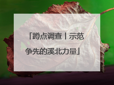 蹲点调查丨示范争先的溪北力量