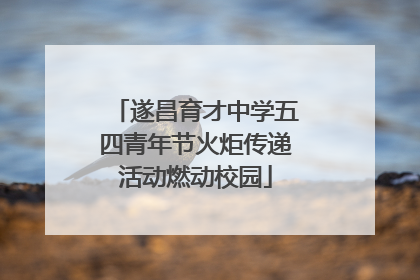 遂昌育才中学五四青年节火炬传递活动燃动校园