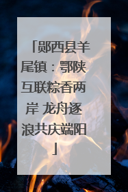 郧西县羊尾镇：鄂陕互联粽香两岸 龙舟逐浪共庆端阳