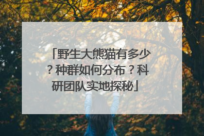 野生大熊猫有多少？种群如何分布？科研团队实地探秘