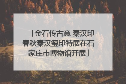 金石传古意 秦汉印春秋秦汉玺印特展在石家庄市博物馆开展