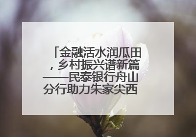 金融活水润瓜田，乡村振兴谱新篇——民泰银行舟山分行助力朱家尖西瓜甜蜜升级