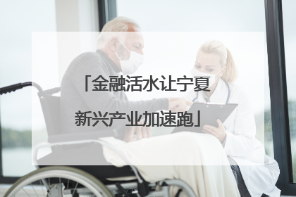 金融活水让宁夏新兴产业加速跑