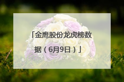 金鹰股份龙虎榜数据（6月9日）