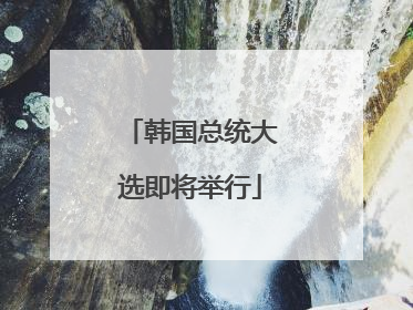 韩国总统大选即将举行