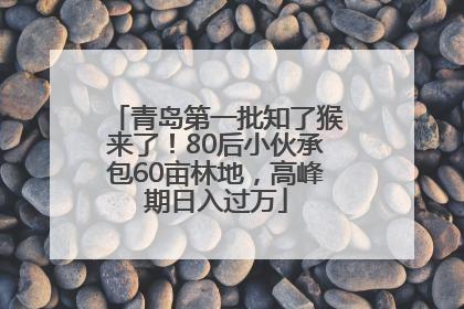青岛第一批知了猴来了！80后小伙承包60亩林地，高峰期日入过万