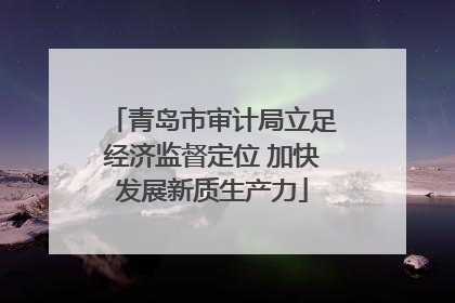 青岛市审计局立足经济监督定位 加快发展新质生产力