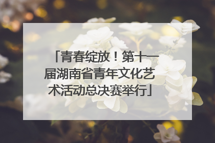 青春绽放！第十一届湖南省青年文化艺术活动总决赛举行