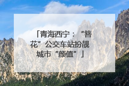 青海西宁：“簪花”公交车站扮靓城市“颜值”