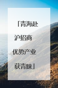 青海赴沪招商 优势产业获青睐